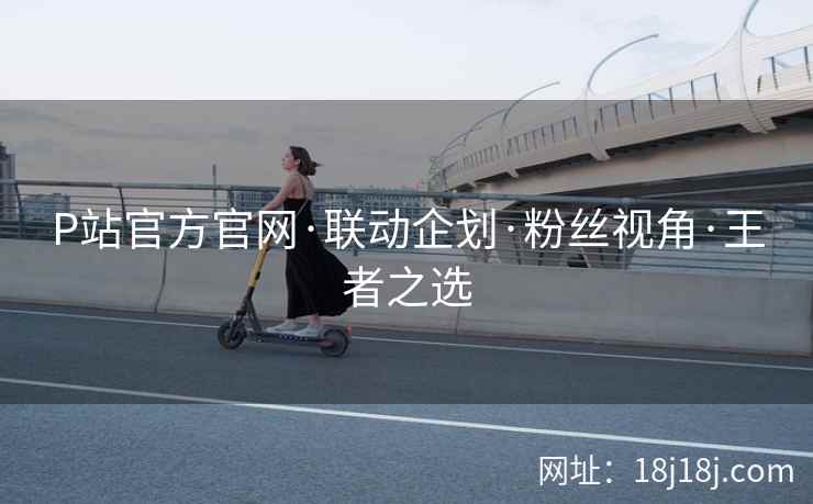 P站官方官网·联动企划·粉丝视角·王者之选