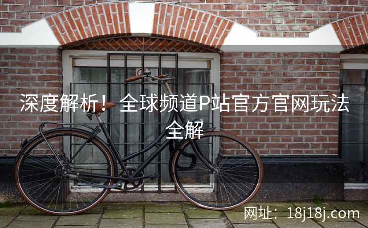 深度解析！全球频道P站官方官网玩法全解