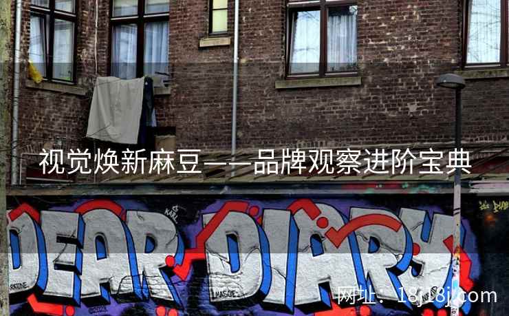 视觉焕新麻豆——品牌观察进阶宝典 视觉焕新麻豆——品牌观察进阶宝典