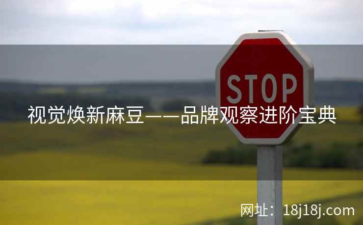 视觉焕新麻豆——品牌观察进阶宝典 视觉焕新麻豆——品牌观察进阶宝典