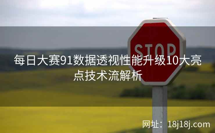 每日大赛91数据透视性能升级10大亮点技术流解析